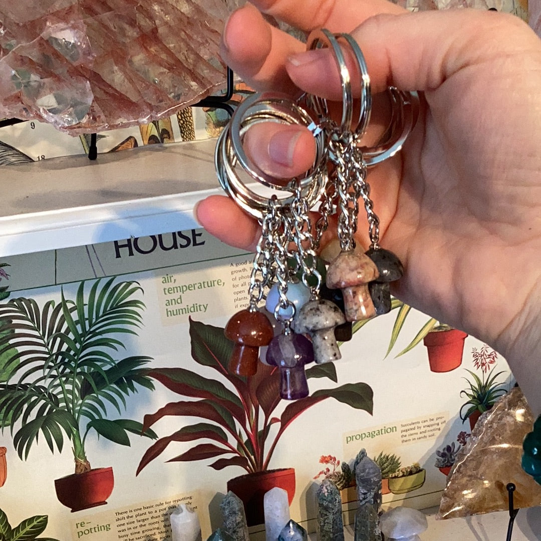 *Keychain Crystal and Mushroom
