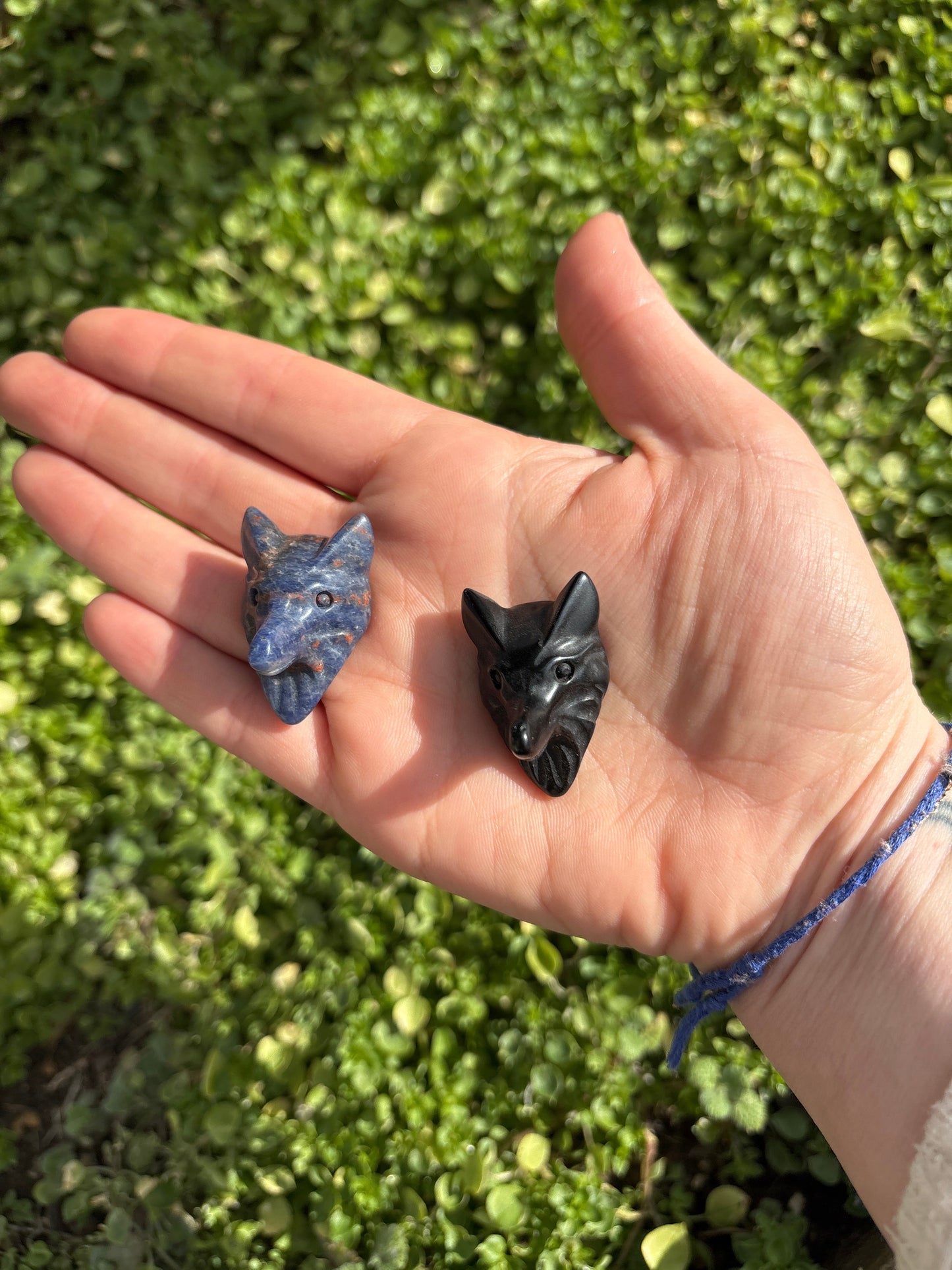 Hand holding two wolf head crystal carvings, one blue and one black, against a green leafy background.