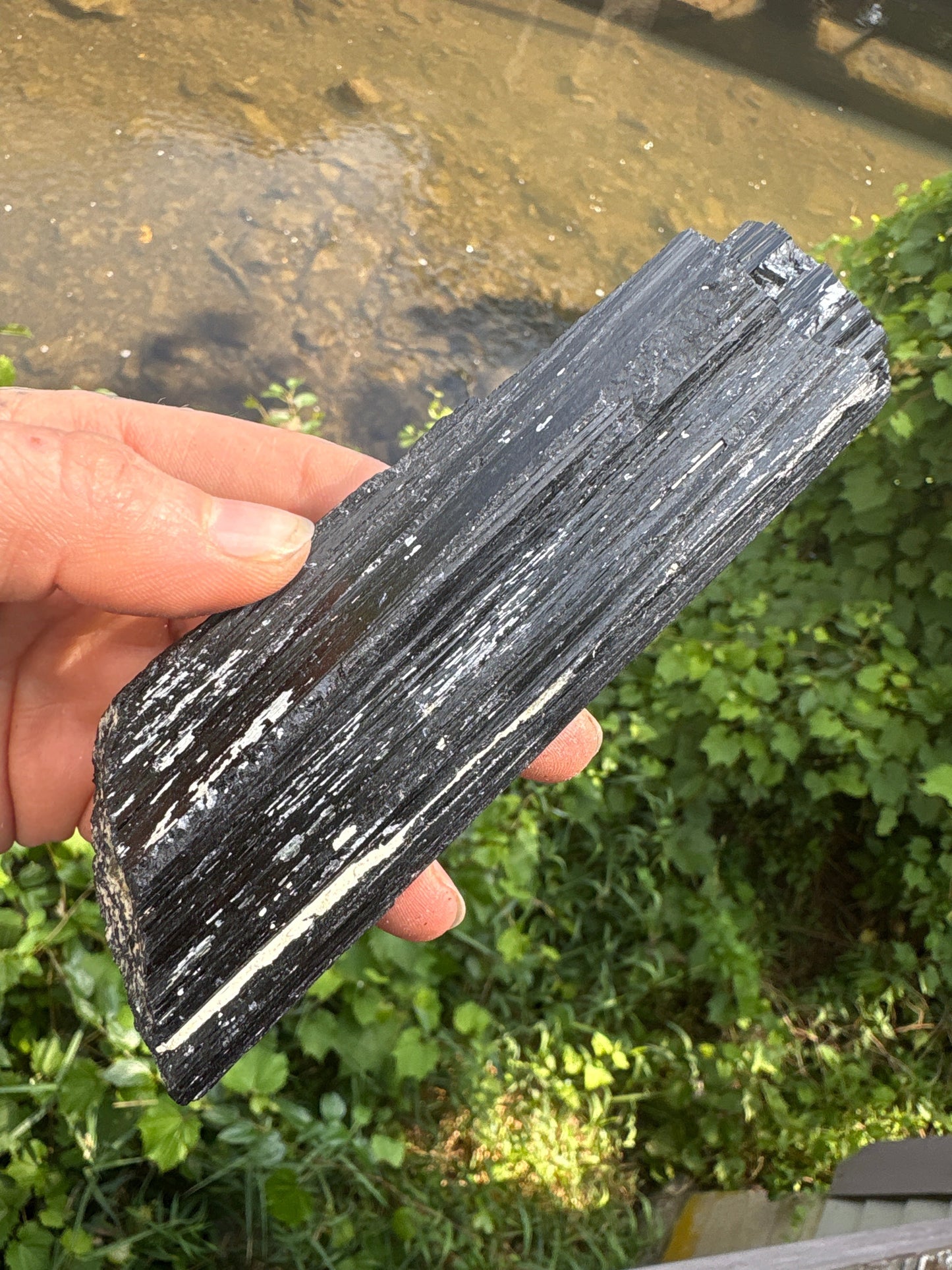 Black tourmaline raw wand held outdoors with natural background, showing rough texture and deep black color.