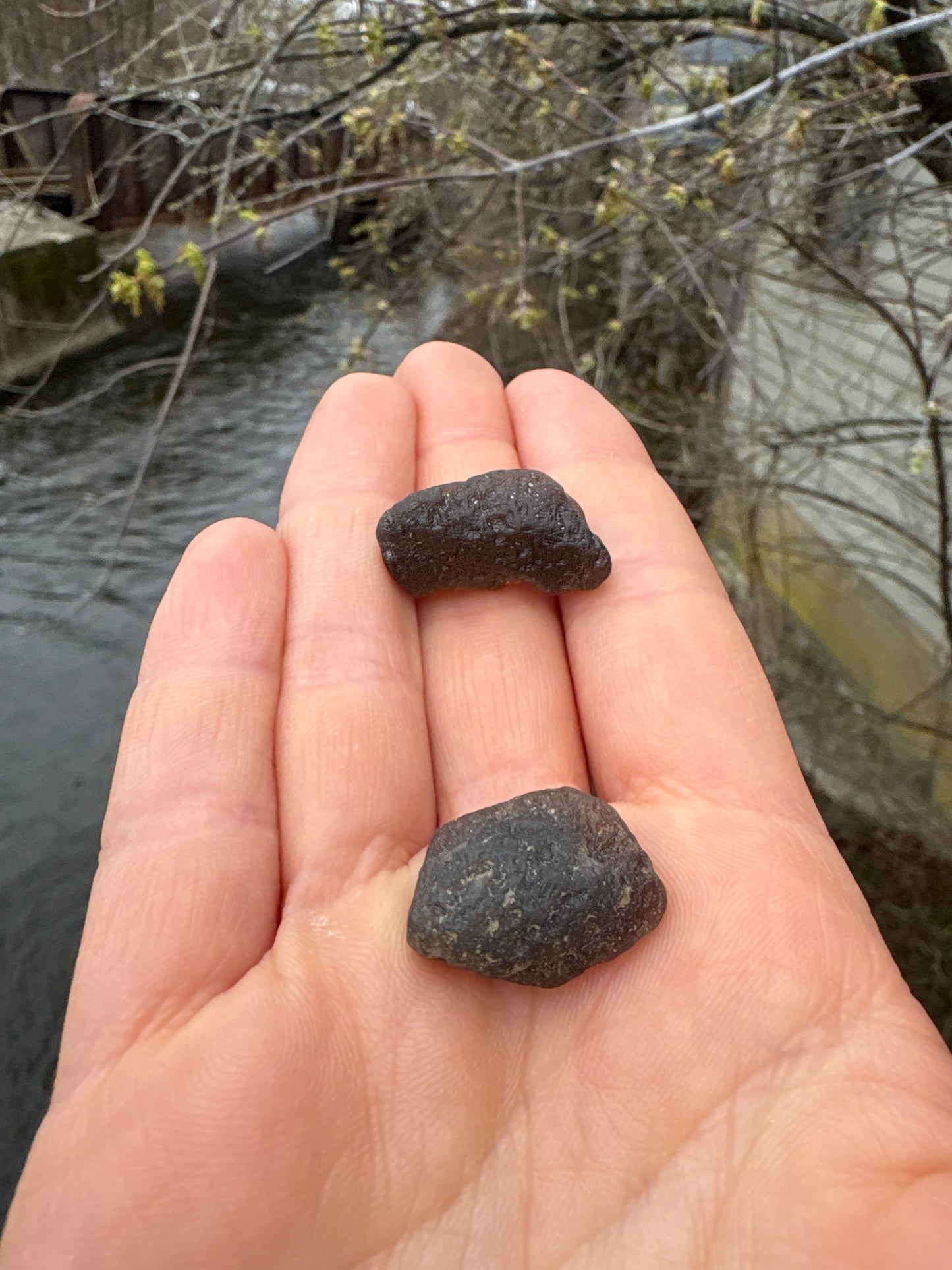 Agni Manitite