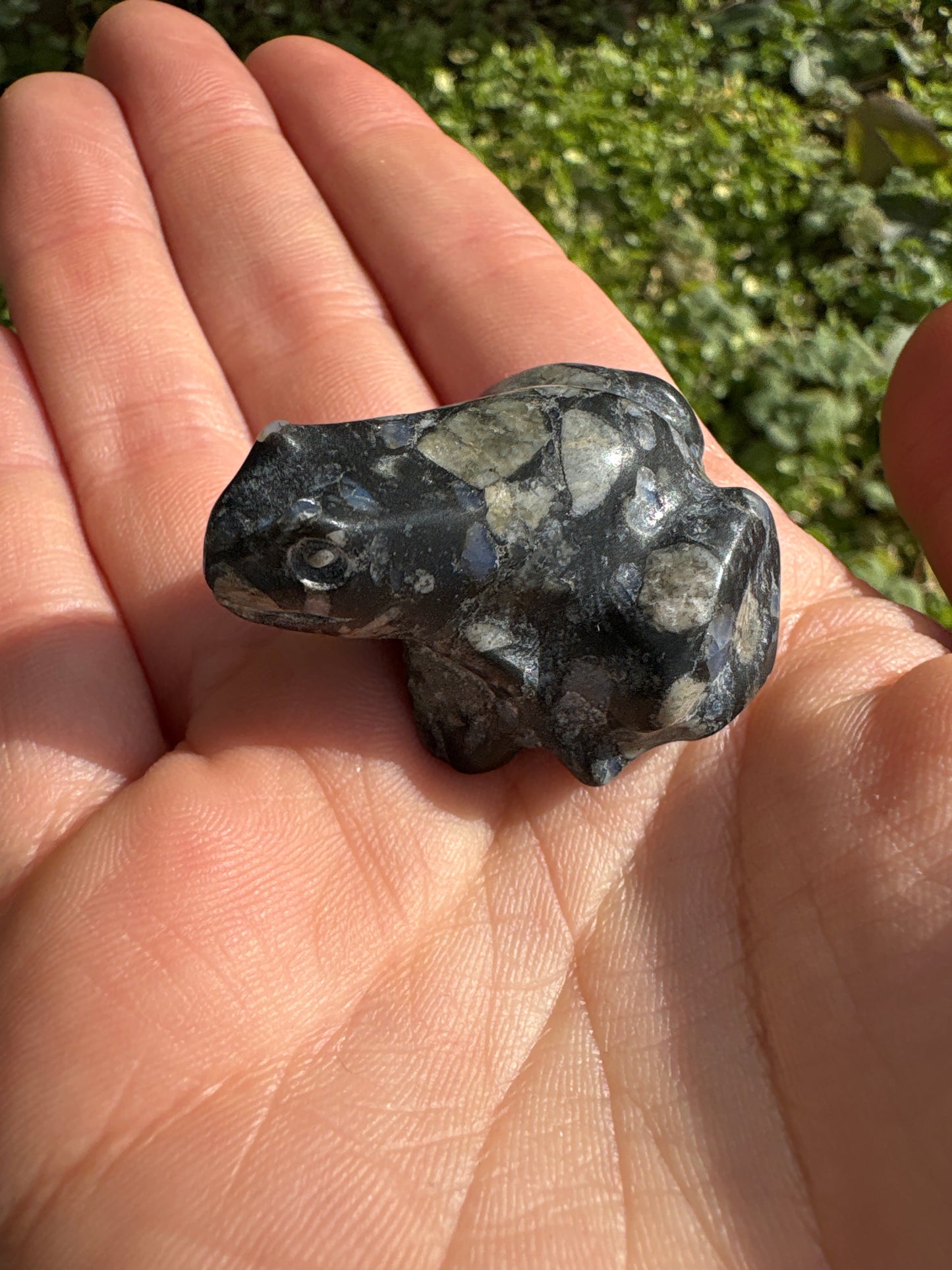 Hand holding a polished frog-shaped crystal carving with black and gray patterns outdoors