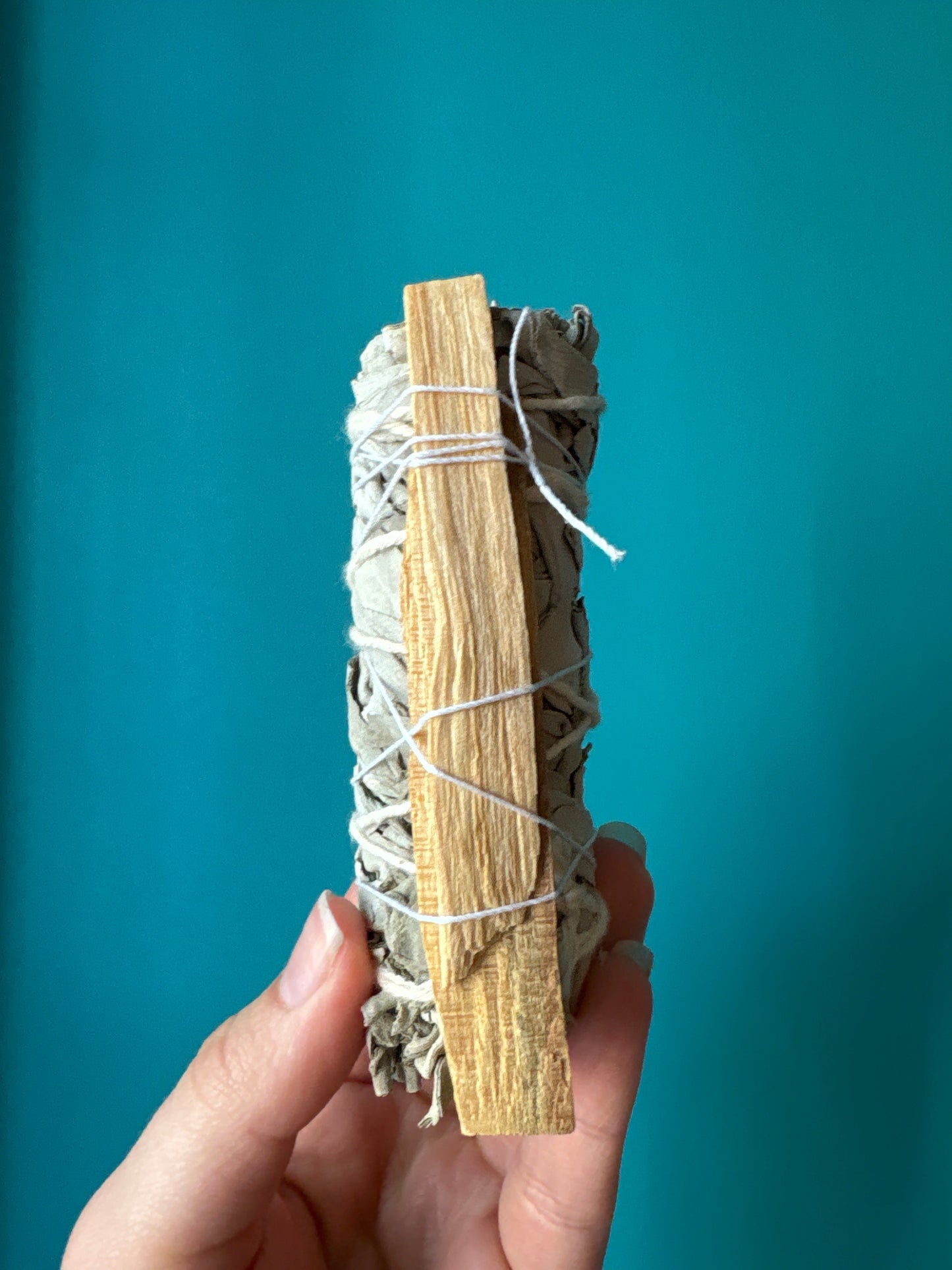White Sage and Palo Santo Smudge Stick held against blue background for cleansing and purification