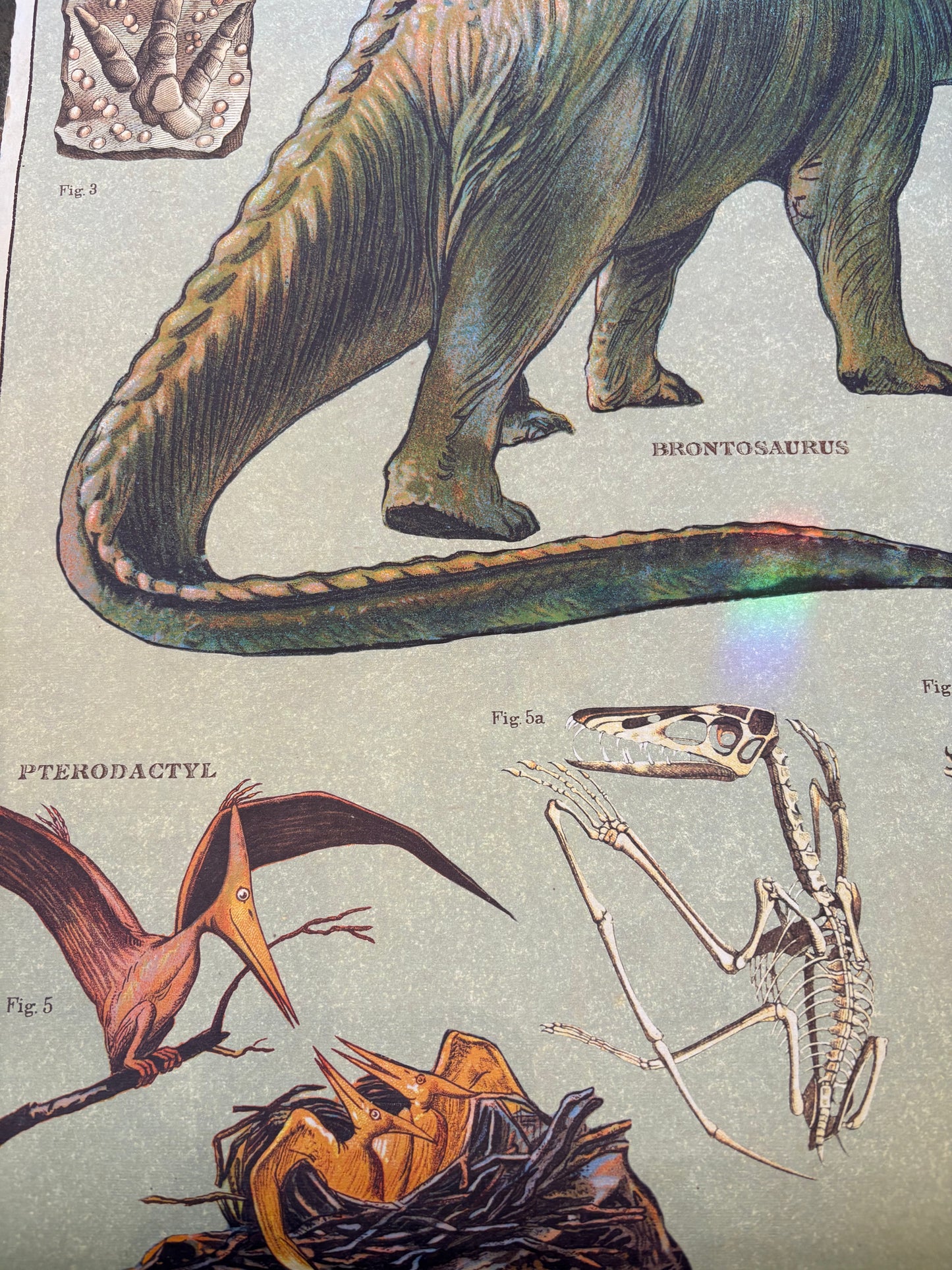 Vintage Dinosaur Poster