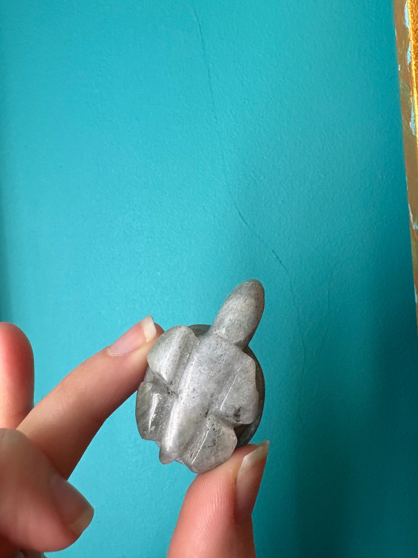 *Labradorite Turtle