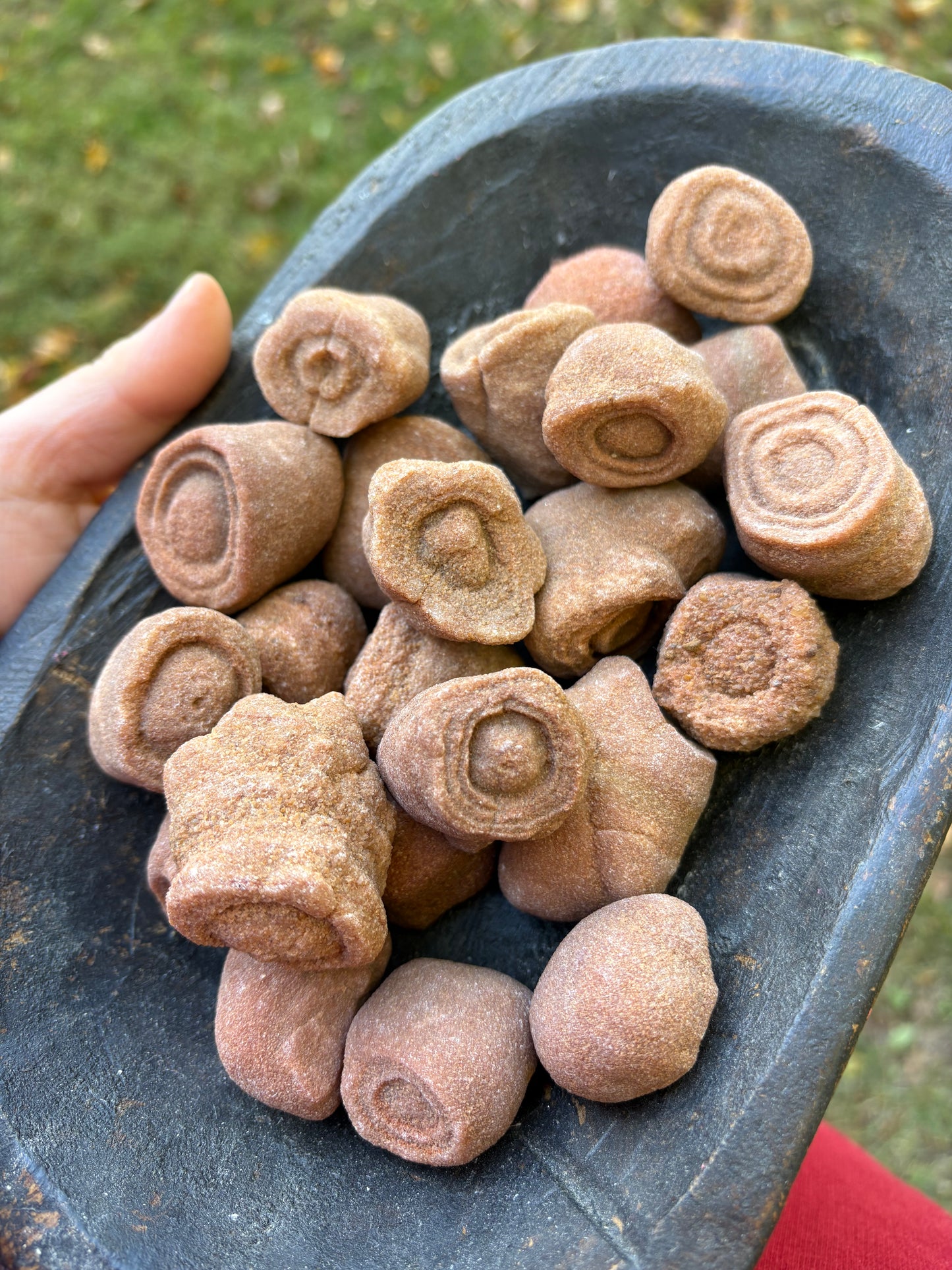 Raw Stromatolite Fossil Stone | Ancient Transformation & Earth Wisdom Crystal