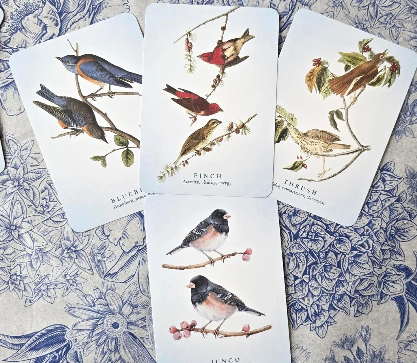 The Spiritual meaning of birds Oracle deck