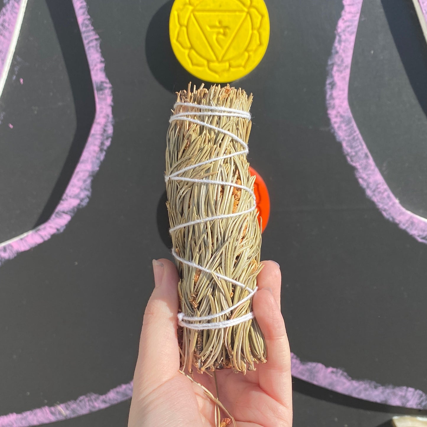 Hand holding a 4 inch Pine Smudge Bundle wrapped with white string against a colorful chakra background
