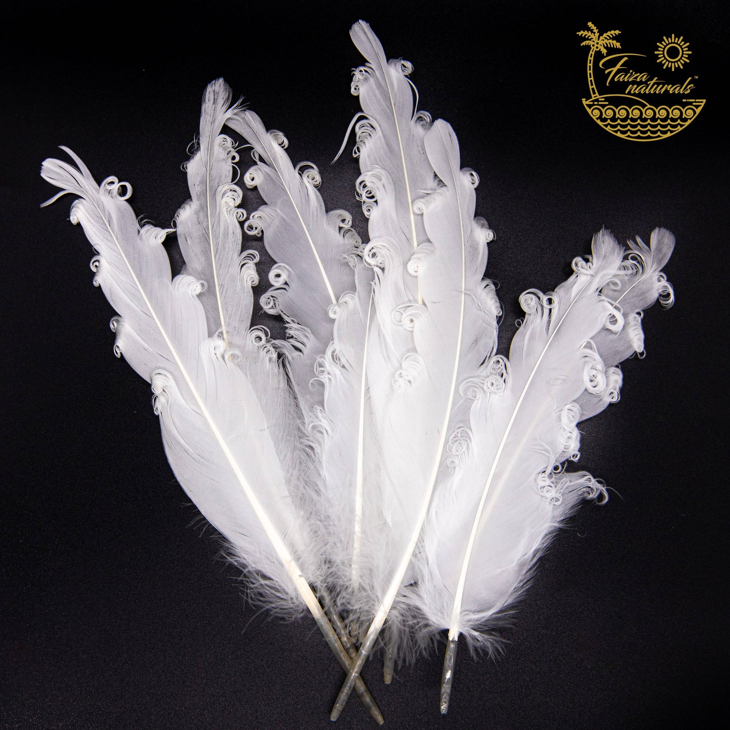 Set of 6-8 inch premium natural goose feathers for smudging, cruelty-free and sustainably gathered from California bird aviary