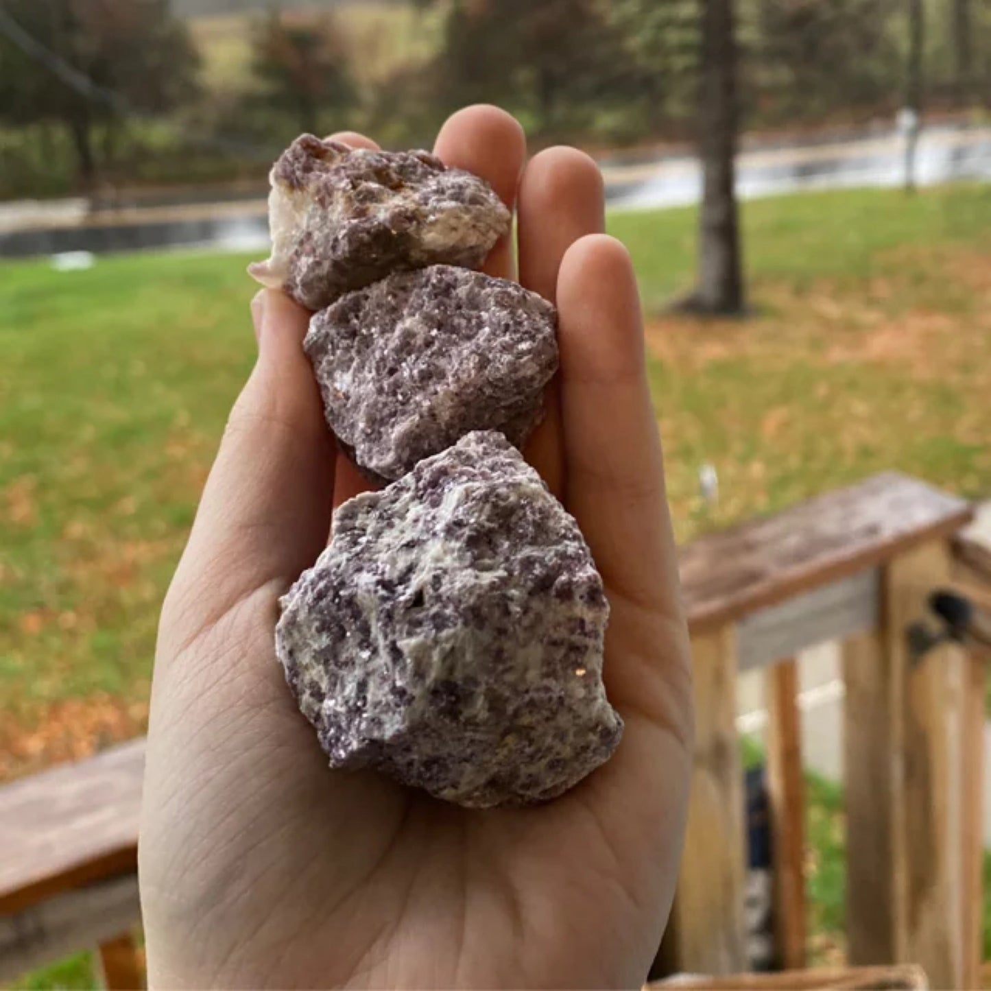 Hand holding three raw lepidolite stones outdoors with a blurred natural background