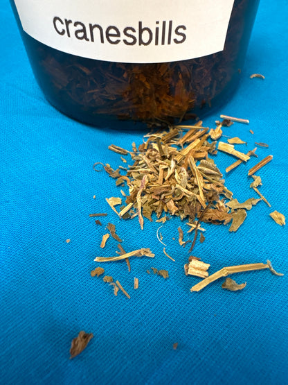 Apothecary Herbs in Glass Jar