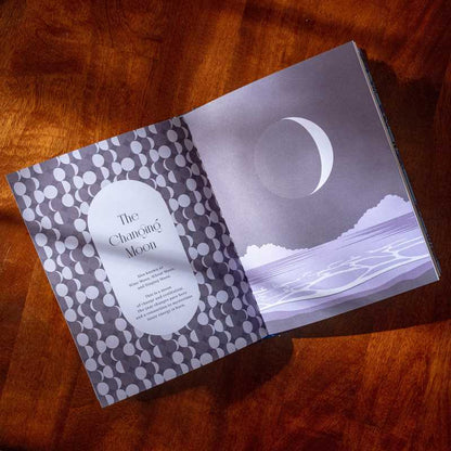 Moon Phases by Cecilia  Lattari