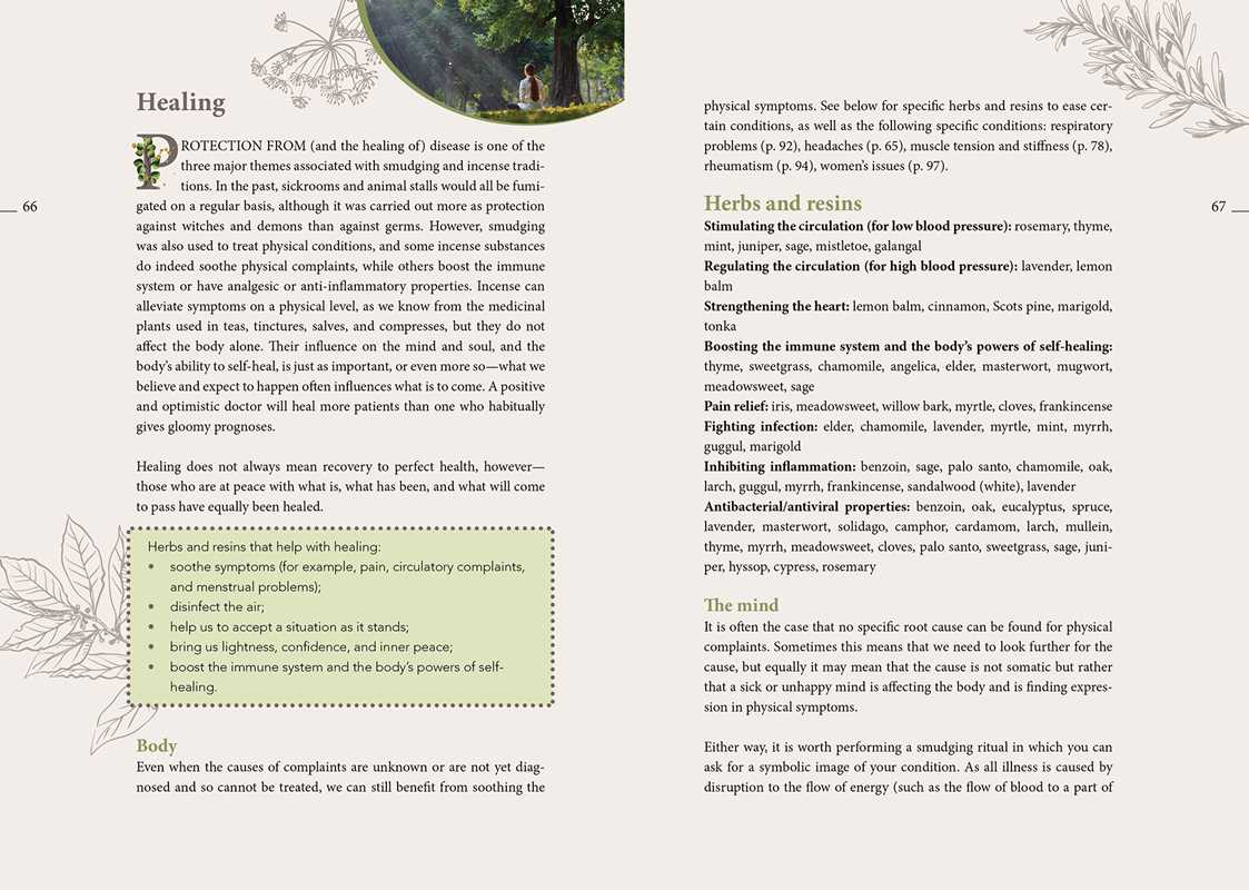 Complete Smudging Handbook by Markus Schirner