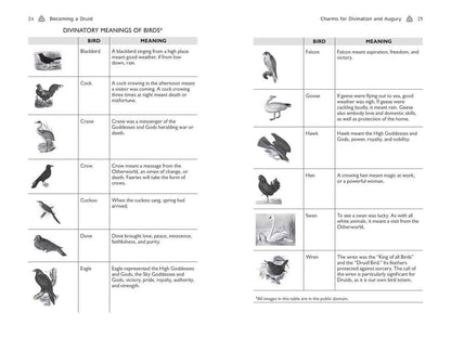 Celtic Druidry by Ellen Evert Hopman