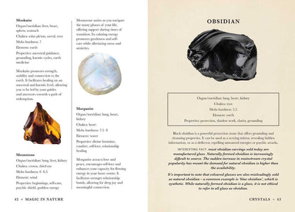 A Practical Guide to Magic in Nature by Jessica Lahoud