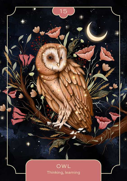 Animal Spirit Oracle by Lea  Androic