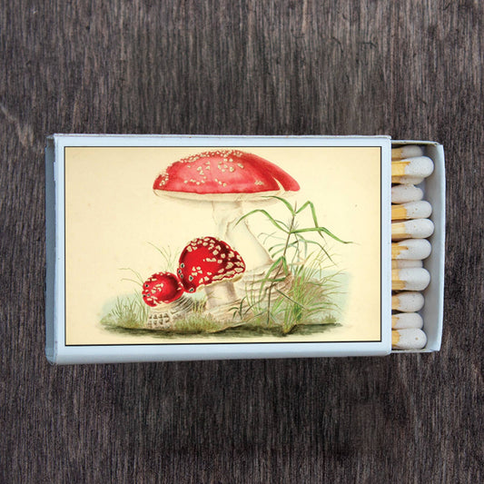 *Mushroom Toadstool Matchbox • Matches • Candle Acc
