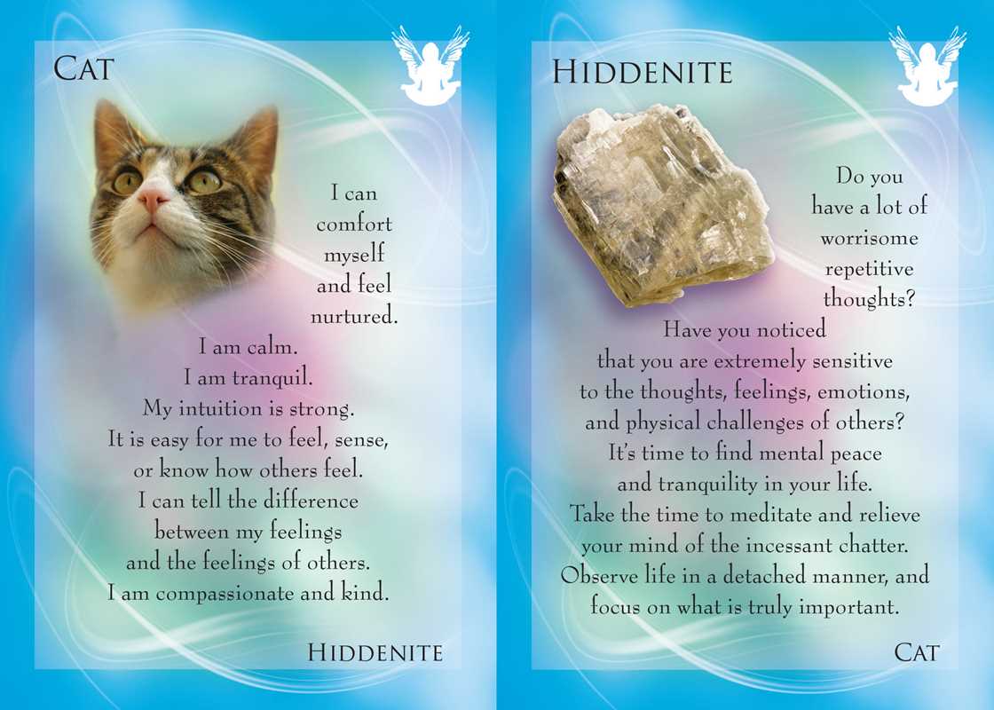 *Animal Allies and Gemstone Guardians Cards by Margaret Ann Lembo