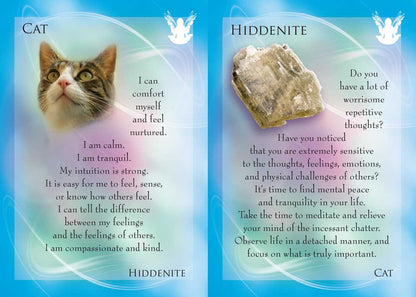 *Animal Allies and Gemstone Guardians Cards by Margaret Ann Lembo