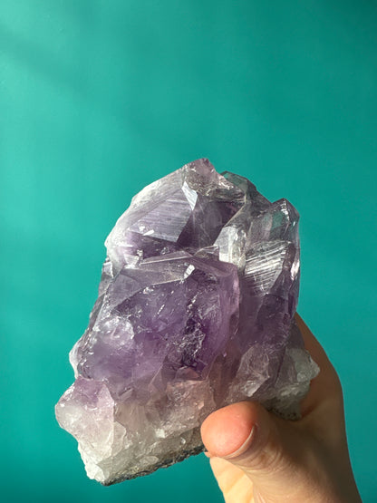 *Cluster Amethyst