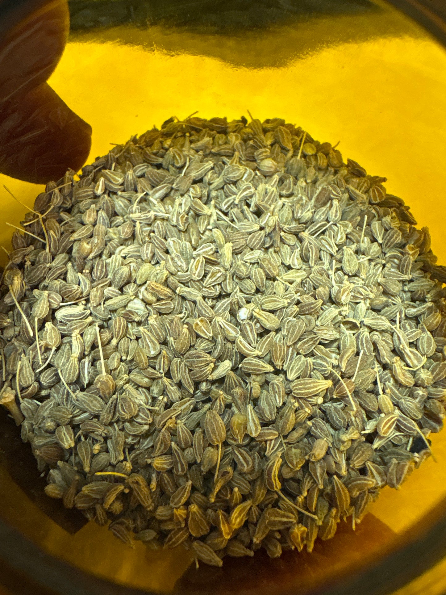 Apothecary Herbs in Glass Jar