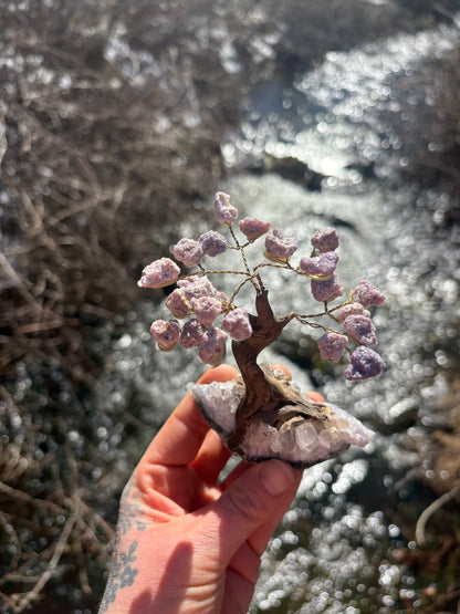 Lepidolite Wire Wrapped Crystal Tree on Amethyst