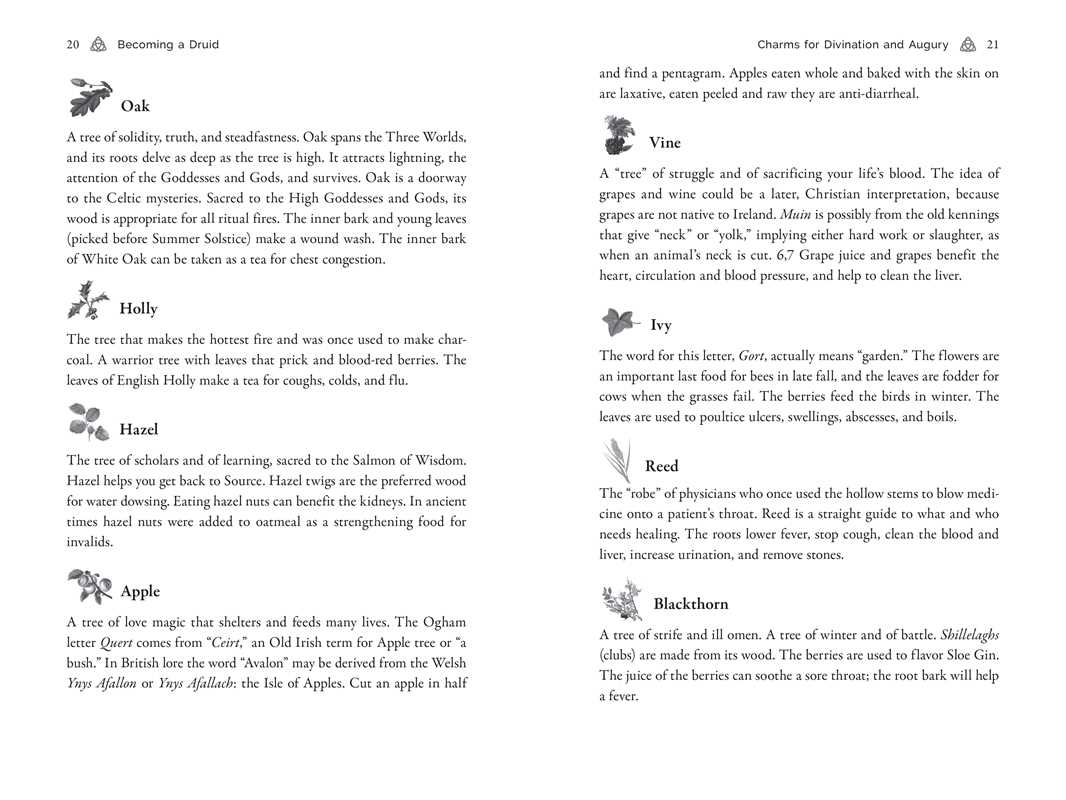 Celtic Druidry by Ellen Evert Hopman