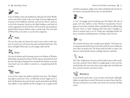 Celtic Druidry by Ellen Evert Hopman