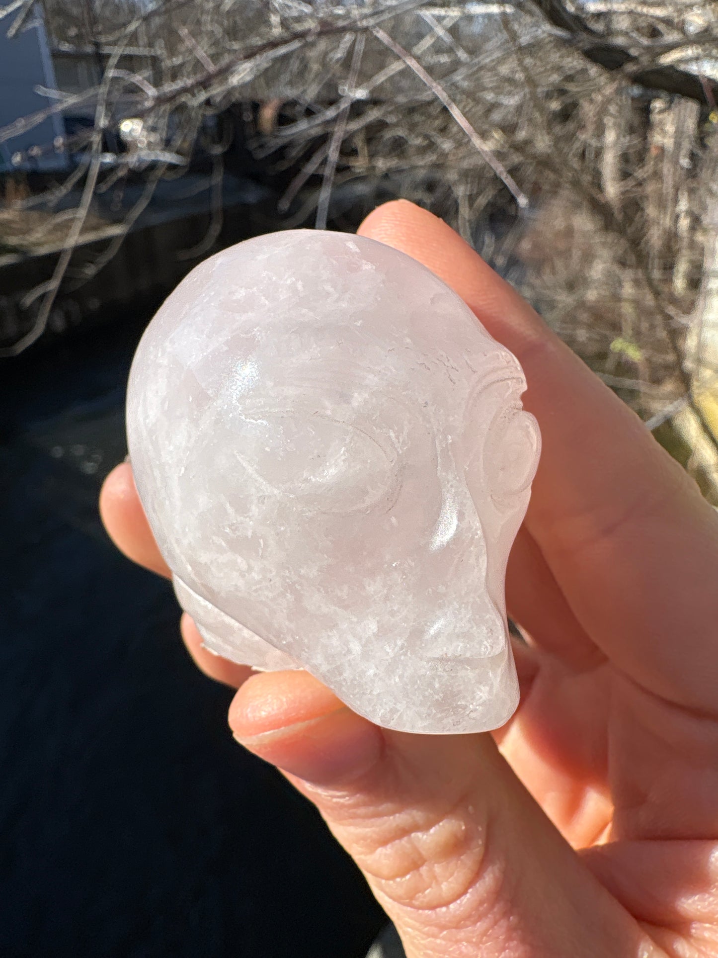 Alien Skull Carving in Rose Quartz