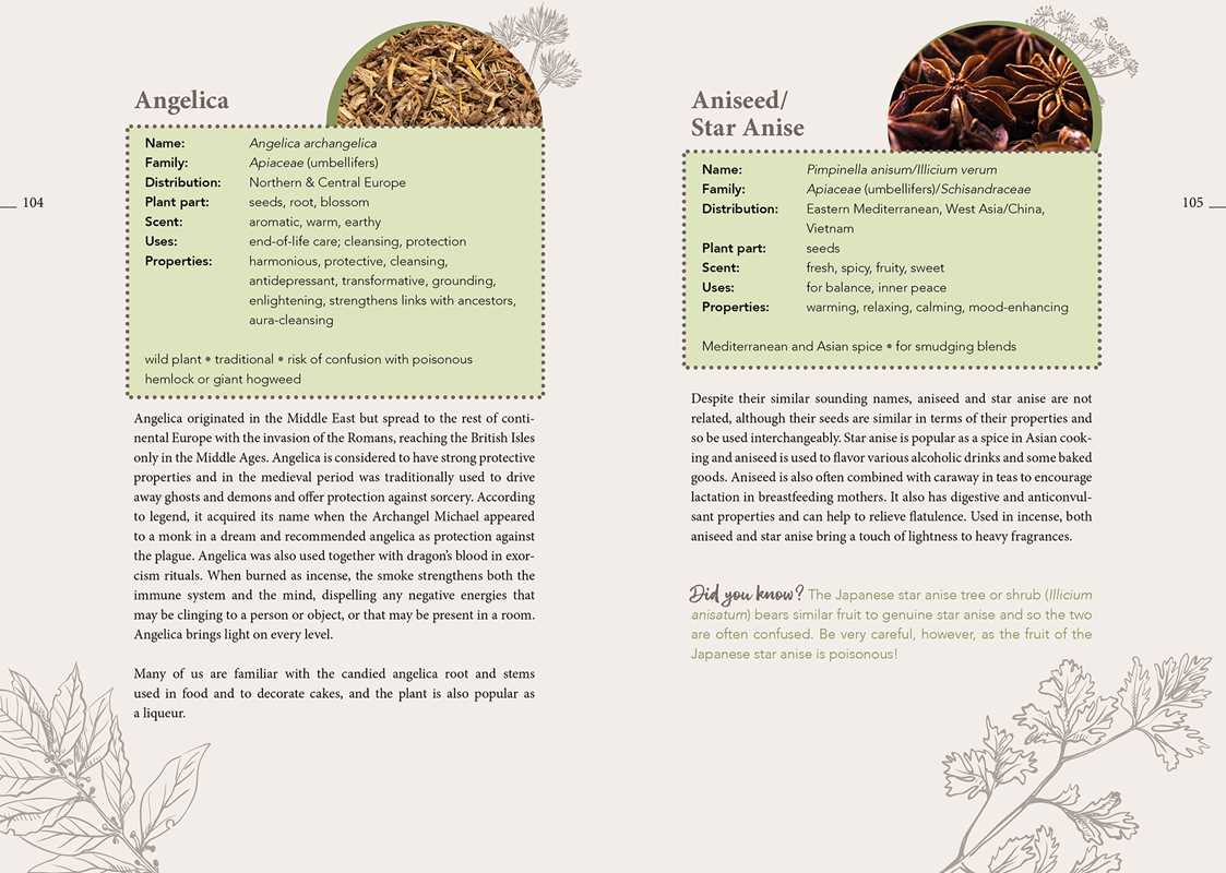 Complete Smudging Handbook by Markus Schirner