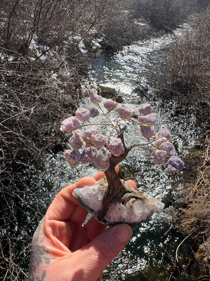 Lepidolite Wire Wrapped Crystal Tree on Amethyst