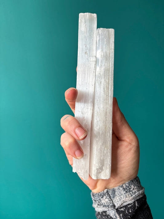 Hand holding two raw selenite sticks against a turquoise background showcasing natural white crystals