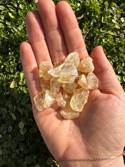 Hand holding raw citrine tumble stones with green foliage background