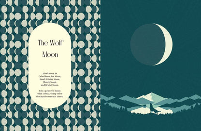 Moon Phases by Cecilia  Lattari