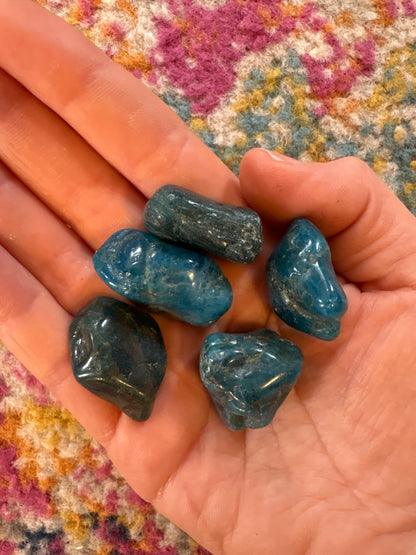 Blue Apatite Tumble