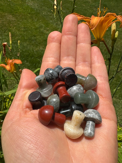 Mini Crystal Mushroom