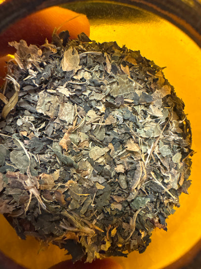 Apothecary Herbs in Glass Jar