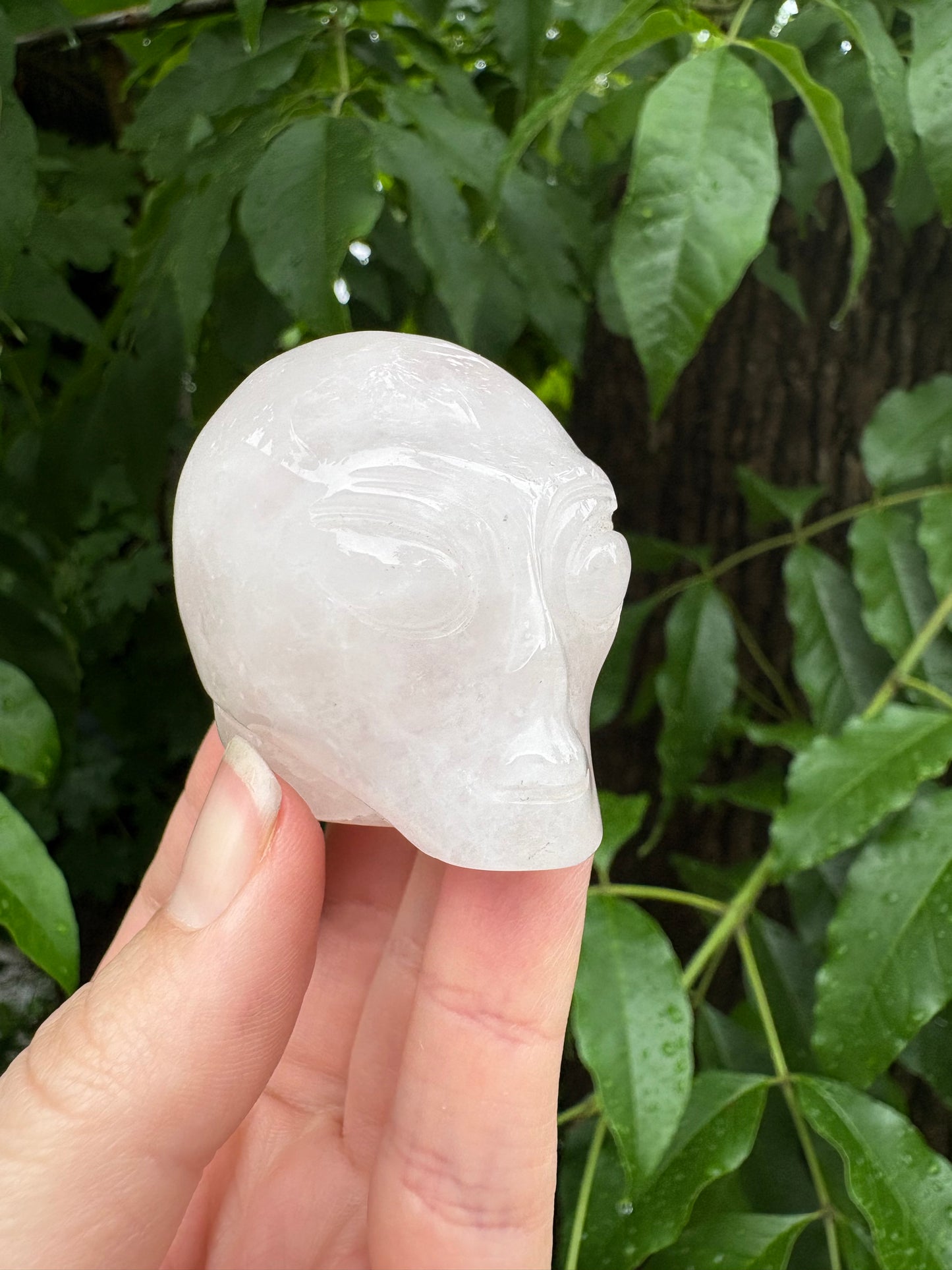 *Alien Head Rose Quartz