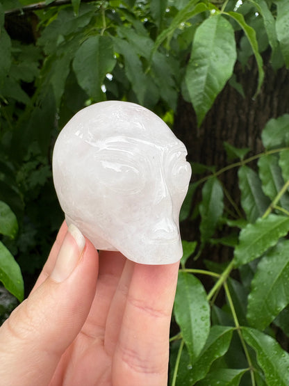 *Alien Head Rose Quartz