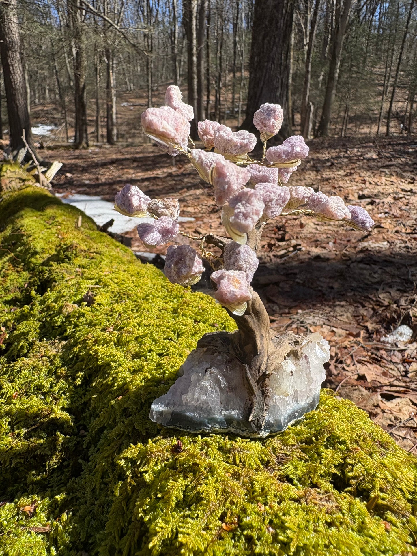 Lepidolite Wire Wrapped Crystal Tree on Amethyst