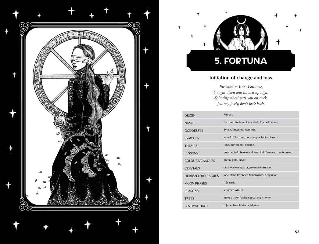 Reclaim your Dark Goddess by Flavia Kate Peters