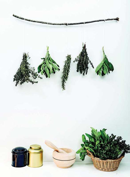 DIY for Witches by Marine Nina Denis