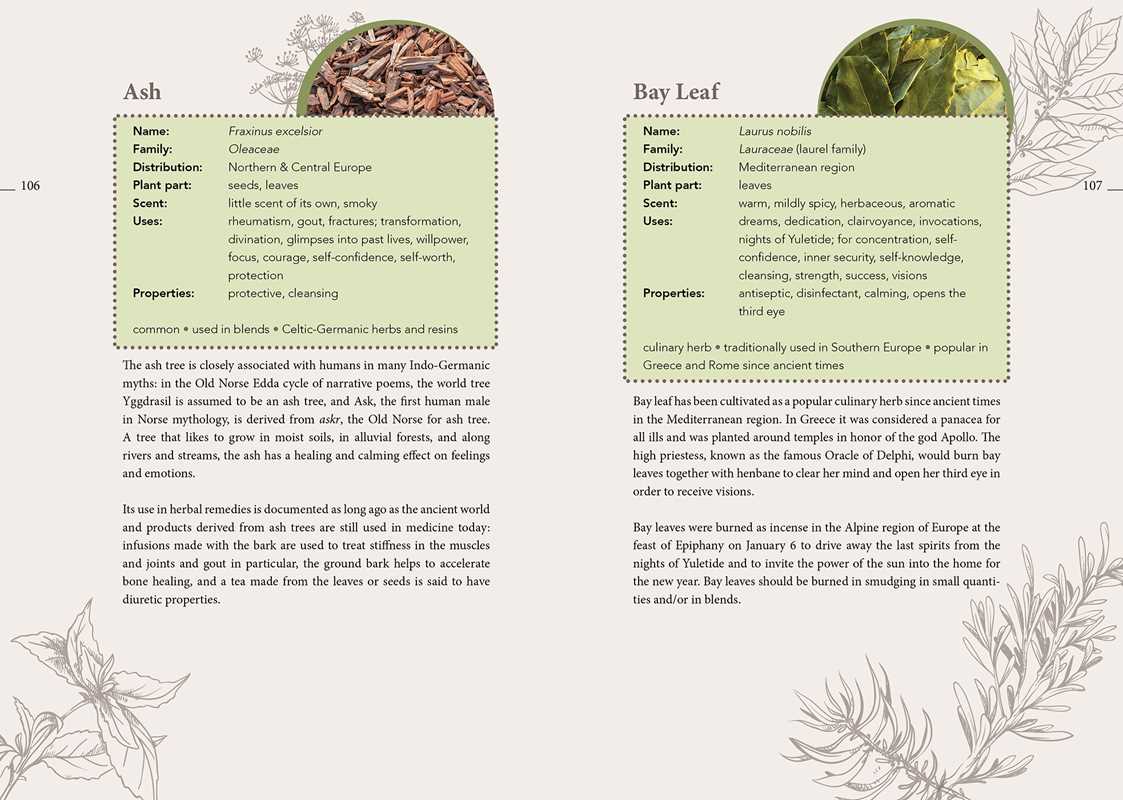 Complete Smudging Handbook by Markus Schirner