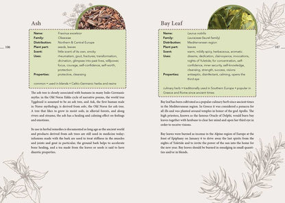 Complete Smudging Handbook by Markus Schirner