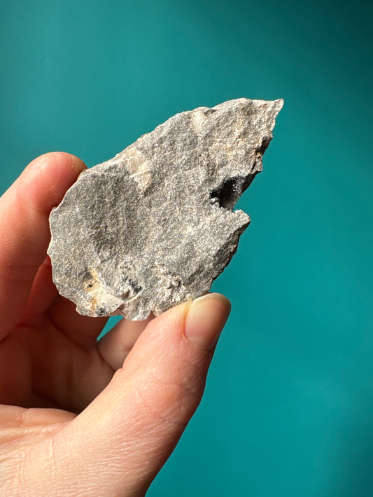 Hand holding Herkimer Diamond in Dolostone rock against teal background
