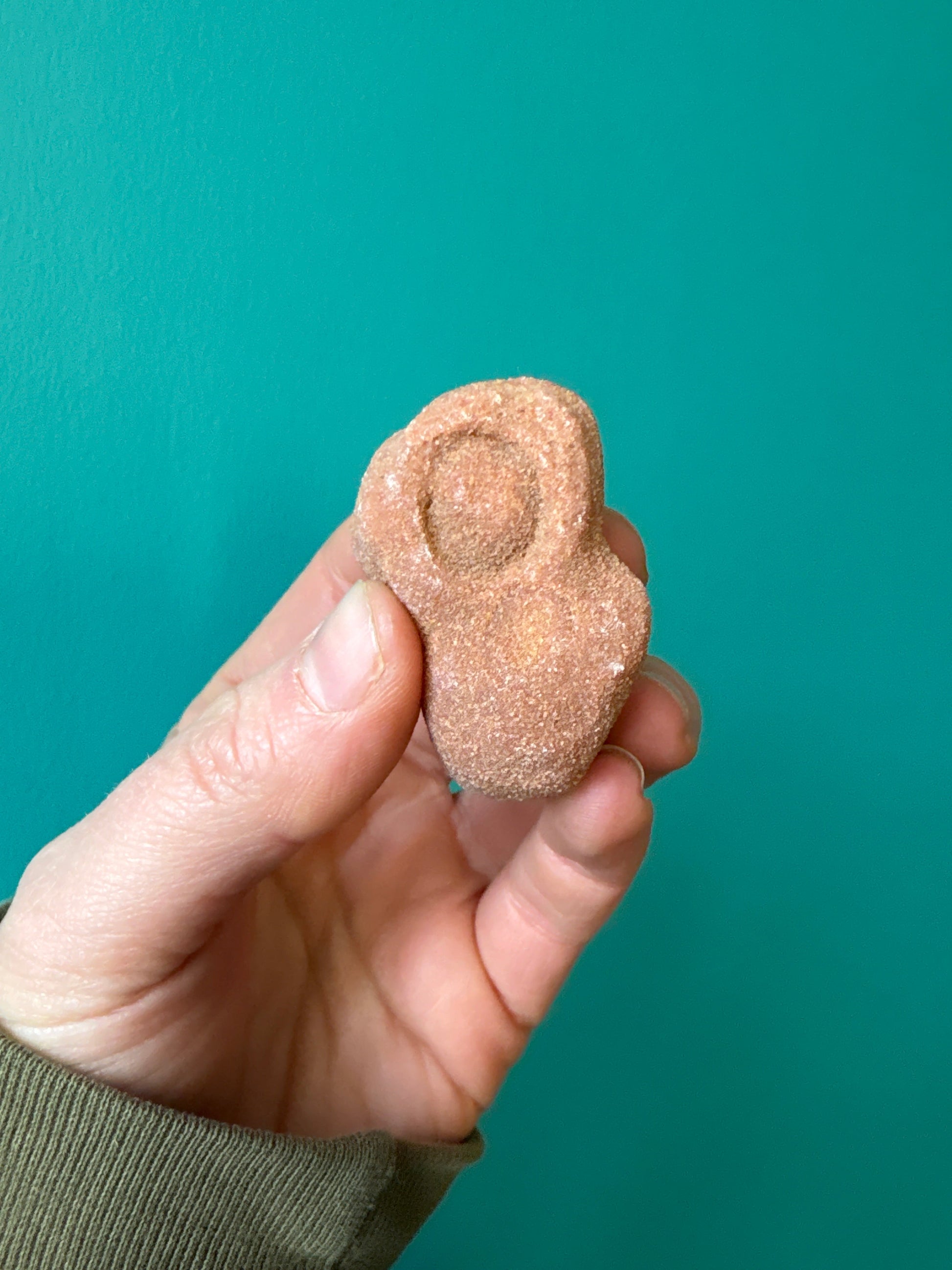 Hand holding a raw stone stromatolite fossil with unique patterns against a teal background