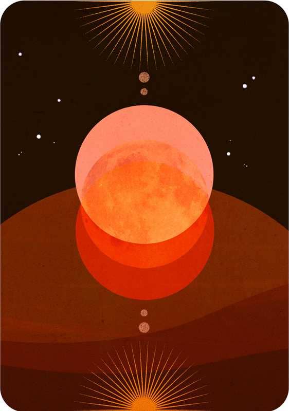 Wild Whispers Oracle by Nat Girsberger