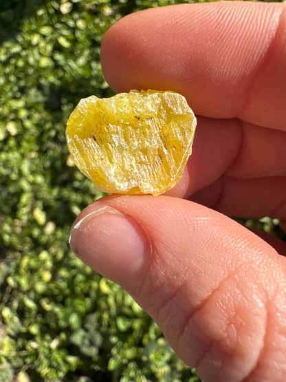 Close-up of a hand holding a raw yellow Brucite stone mineral against a green blurred background