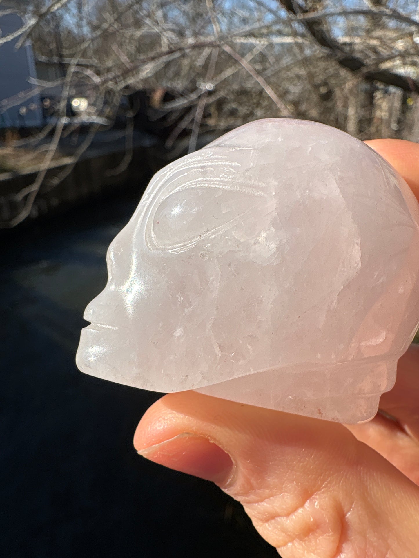 Alien Skull Carving in Rose Quartz