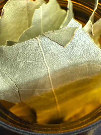 Apothecary Herbs in Glass Jar