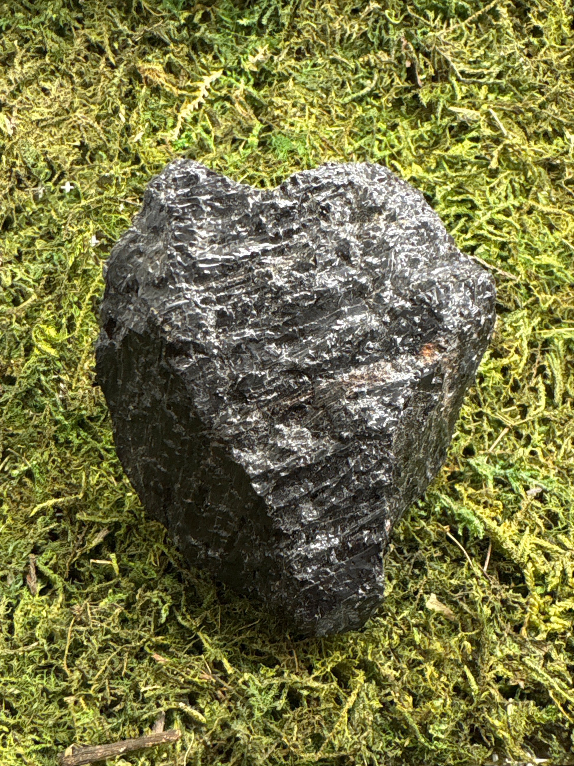 Raw black tourmaline crystal on green moss background for protection and grounding